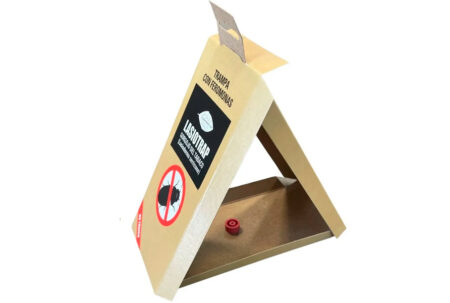 Trampa gorgojo del tabaco